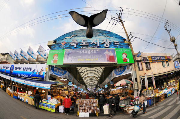 Gyeongbuk Pohang Jukdo Market 명소 볼거리