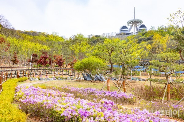 Gyodongdo Island, Incheon: Peace and lost-home stories