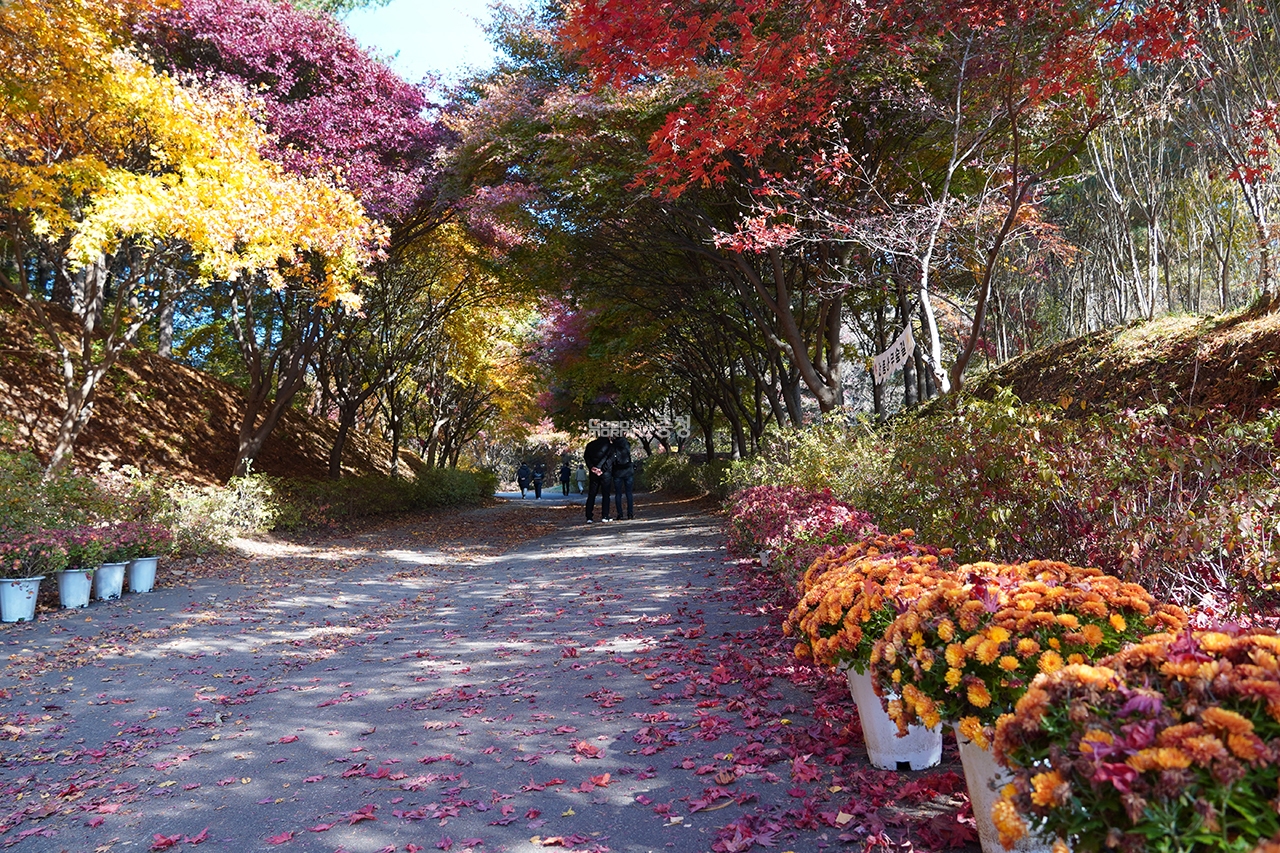 Independence Hall, Cheonan, Chungcheongnam-do 계절 봄 가을
