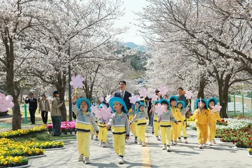 Jeonbuk Gochang Cheongboribbat 벚꽃 단풍