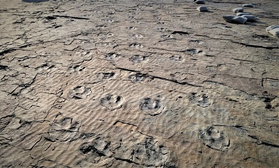 Goseong Dinosaur Fossil Site, Deokmyeongri footprint fossils in Gyeongnam