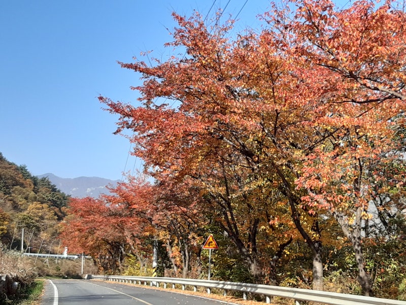 Eerumgol, Miryang, Gyeongnam 계절 봄 가을