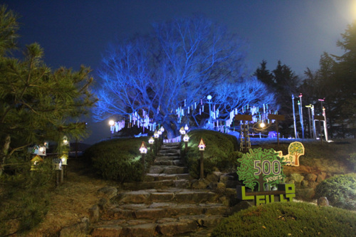 Daegu Hyeonpung 500-Year Zelkova Theme Park 야경