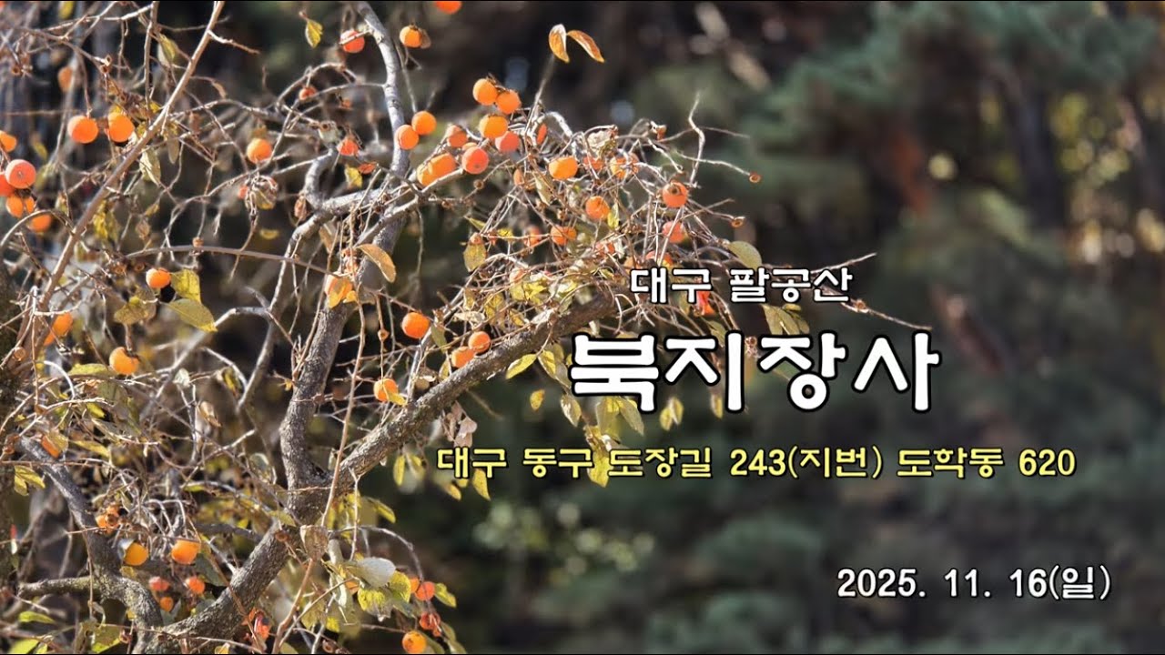 Daegu Bukhijangsa Temple (Daegu) 계절 봄 가을