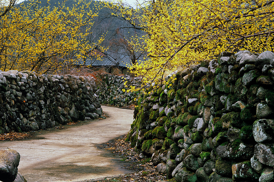 Hanbam Village (Daegu) Walk through quiet stone walls and hanok homes
