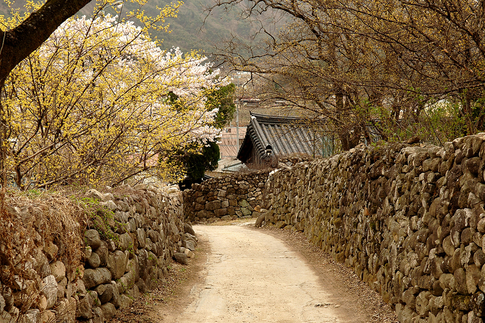 Daegu Hanbam Village 명소 볼거리