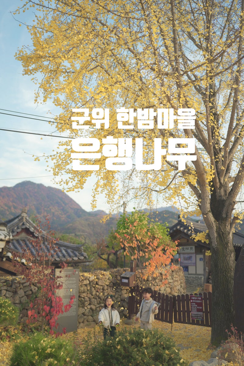 Daegu Hanbam Village 계절 봄 가을