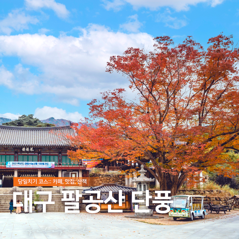 Daegu Donghwasa Temple (Daegu) 계절 봄 가을