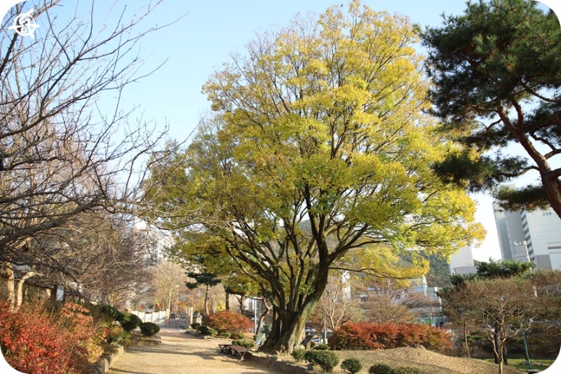 Daegu Sinsunggyom General Tomb Site 계절 봄 가을