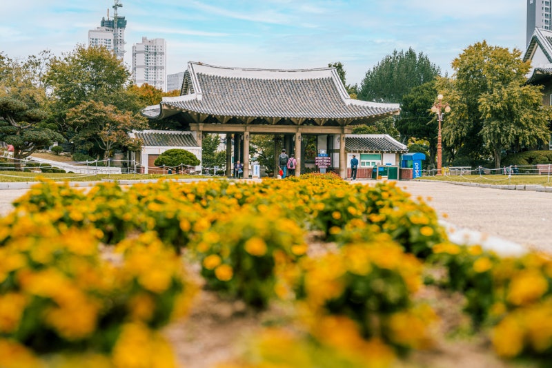 Daegu Local History Museum: Seasons in Spring and Autumn