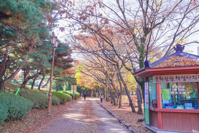 Daegu Wolgok History Museum 계절 봄 가을
