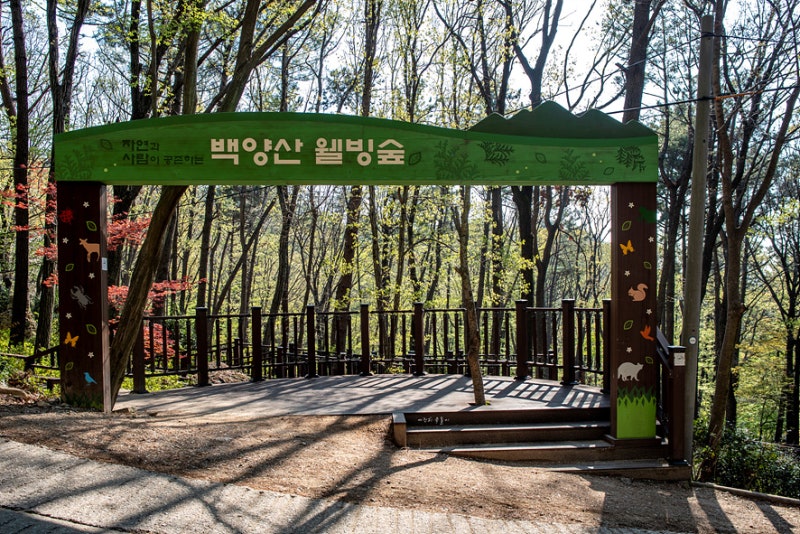 Baegyangsan Wellbeing Forest in Busan riverside healing walk