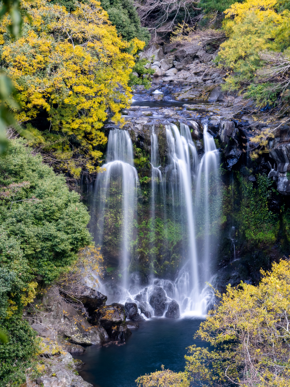 Jeju Cheonjeryeon Waterfall 계절 봄 가을