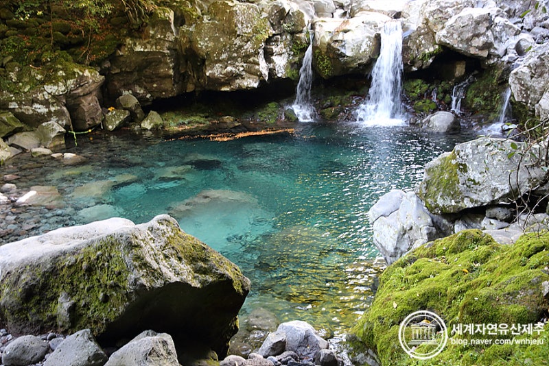 Jeju Donnaeko Wonaang Waterfall A twin stream in lush forests