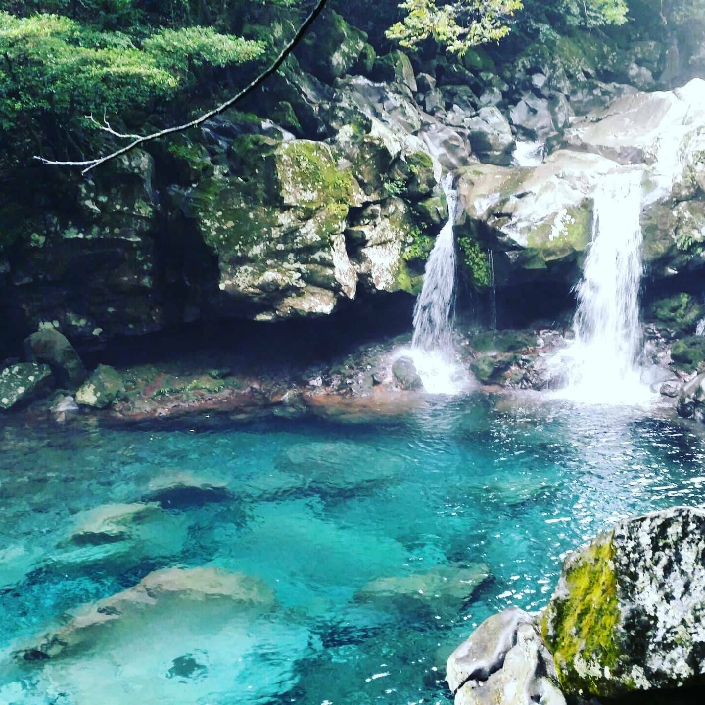 Jeju Donnaekko Wonang Waterfall 벚꽃 단풍