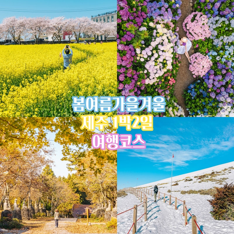 Jeju Seotaloreum 계절 봄 가을