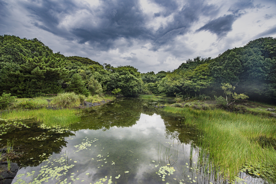 Jeju Sanbanggulsa Temple (Jeju) 벚꽃 단풍