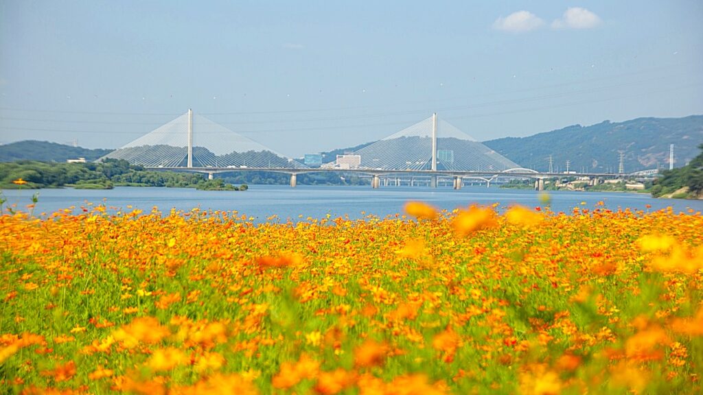Seoul Hangang 계절 봄 가을